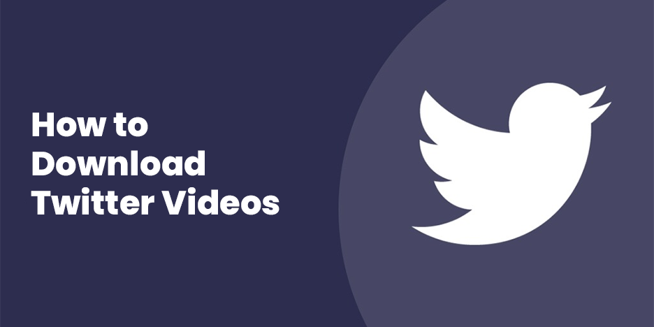 How to Download Twitter Videos in 2024