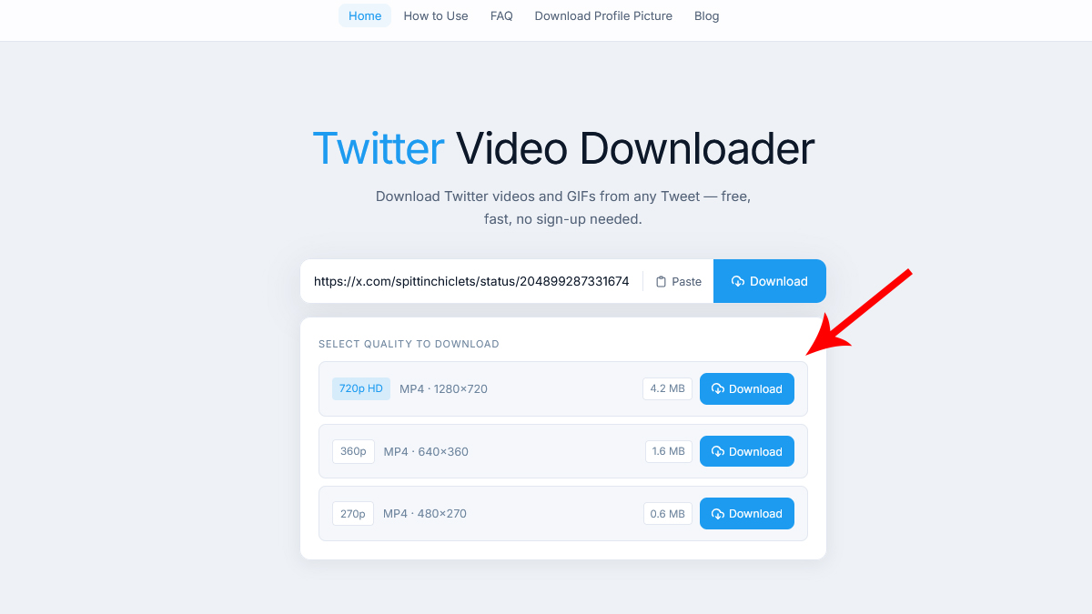 Download the Video